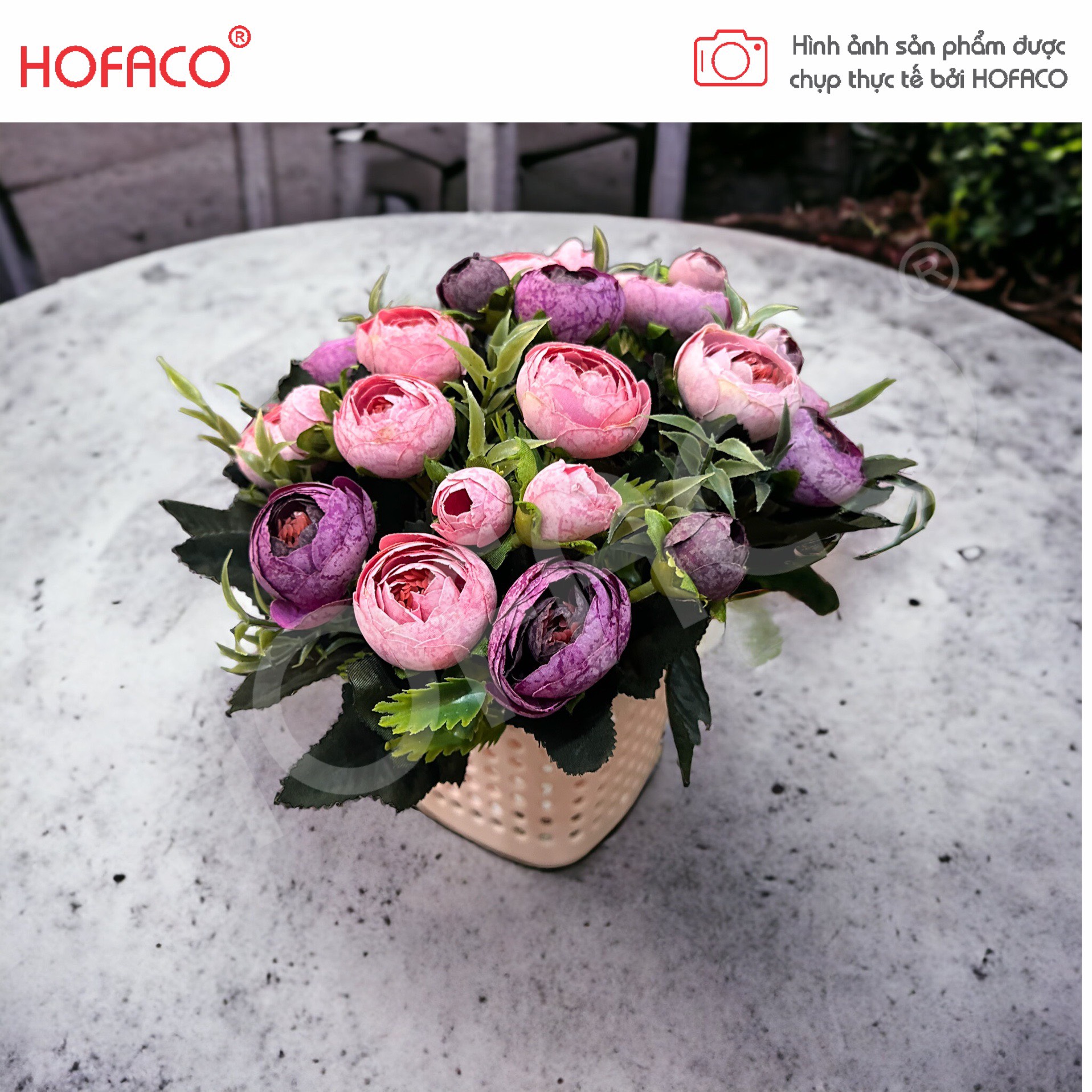 z4876205818077_babe3b6e00e9df20c50c1949995fb385